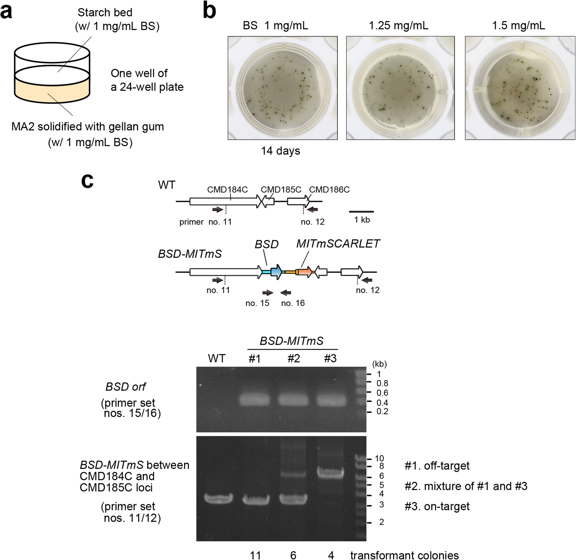 Fig. 2