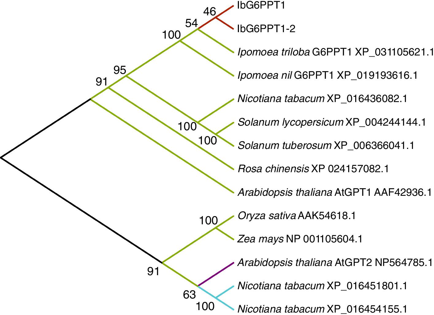 Fig. 2