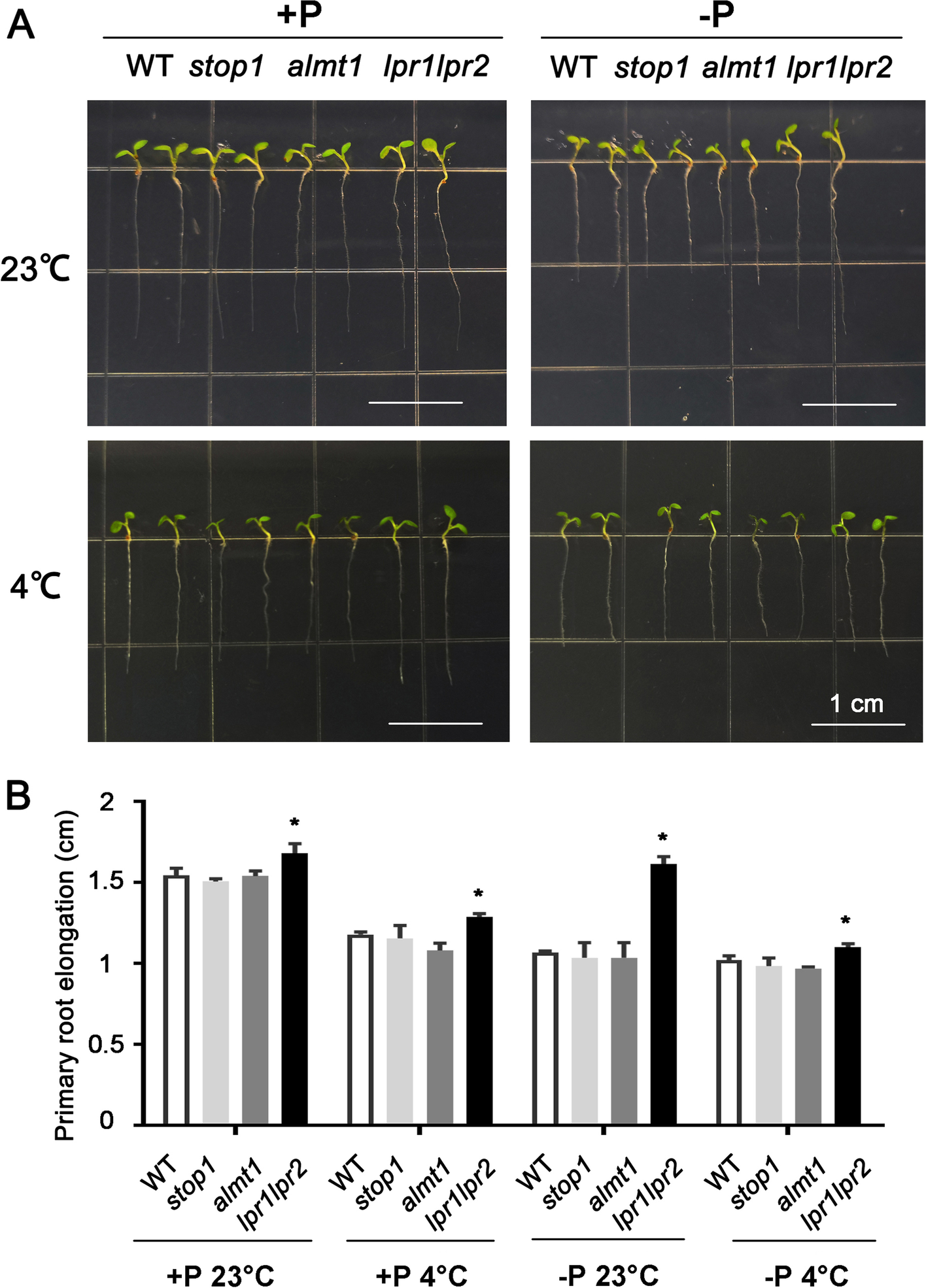 Fig. 7