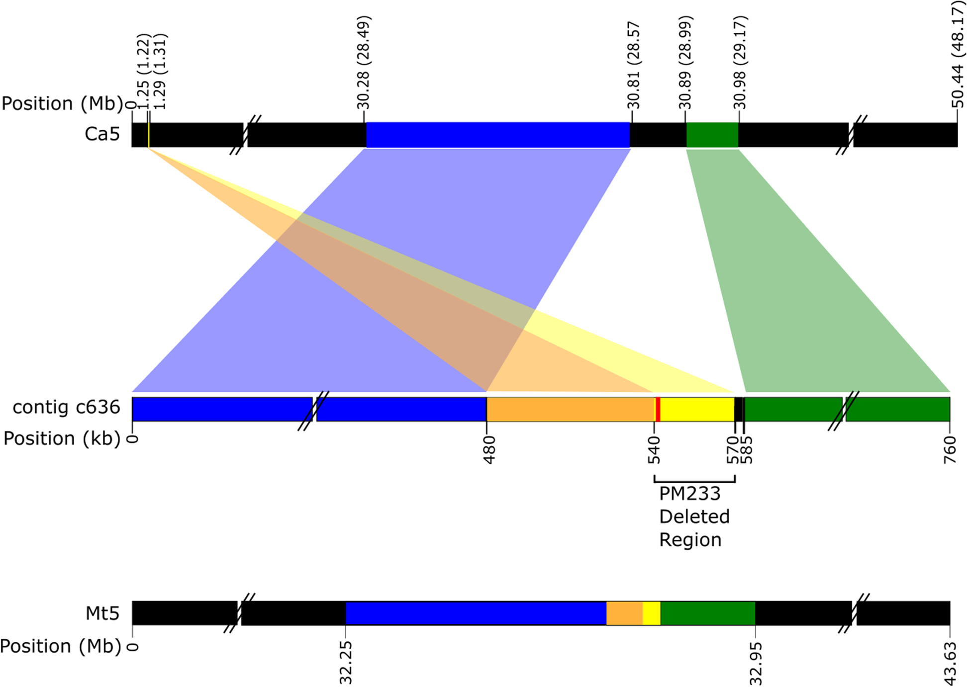 Fig. 2