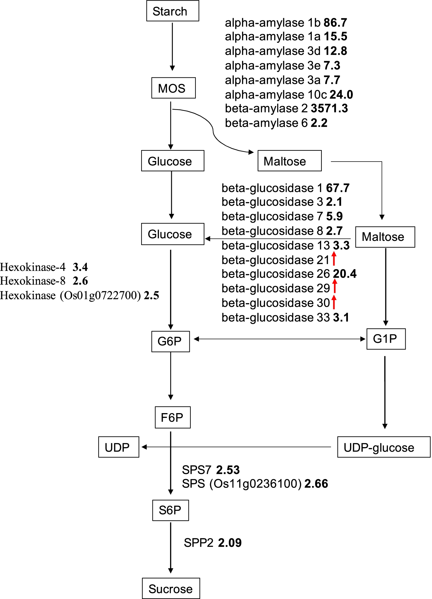 Fig. 3