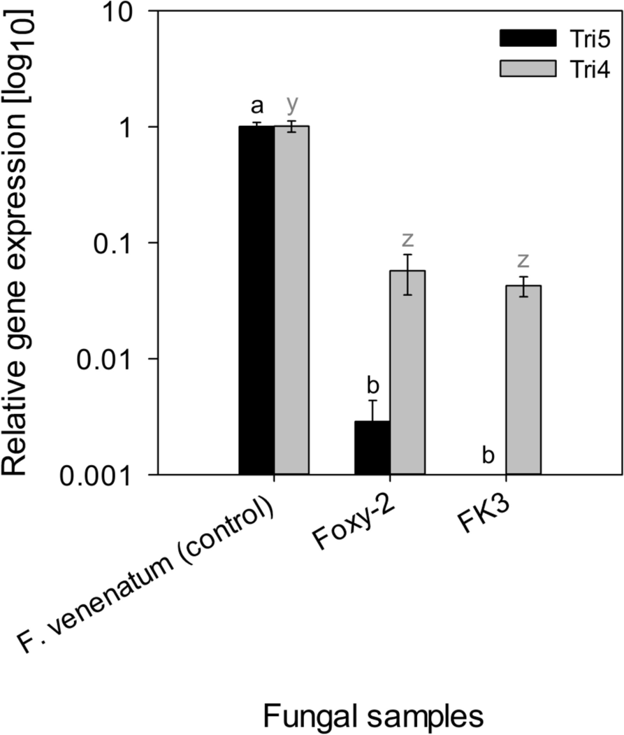 Fig. 7