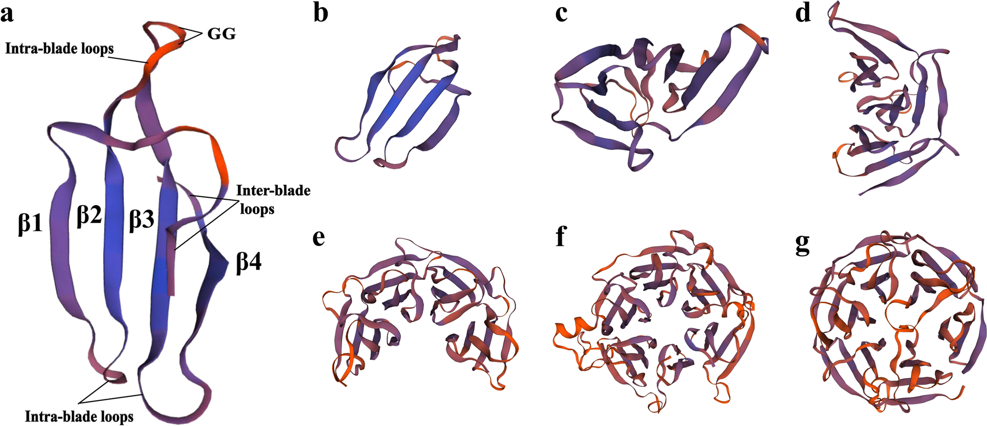 Fig. 2