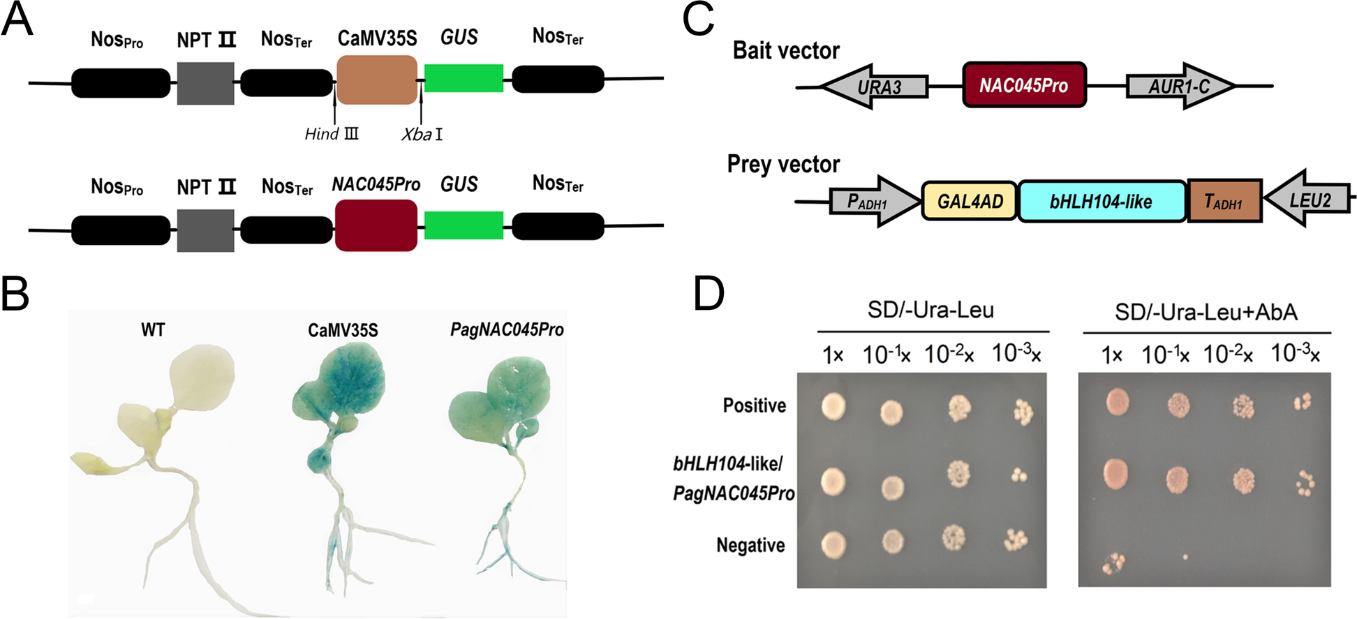 Fig. 4