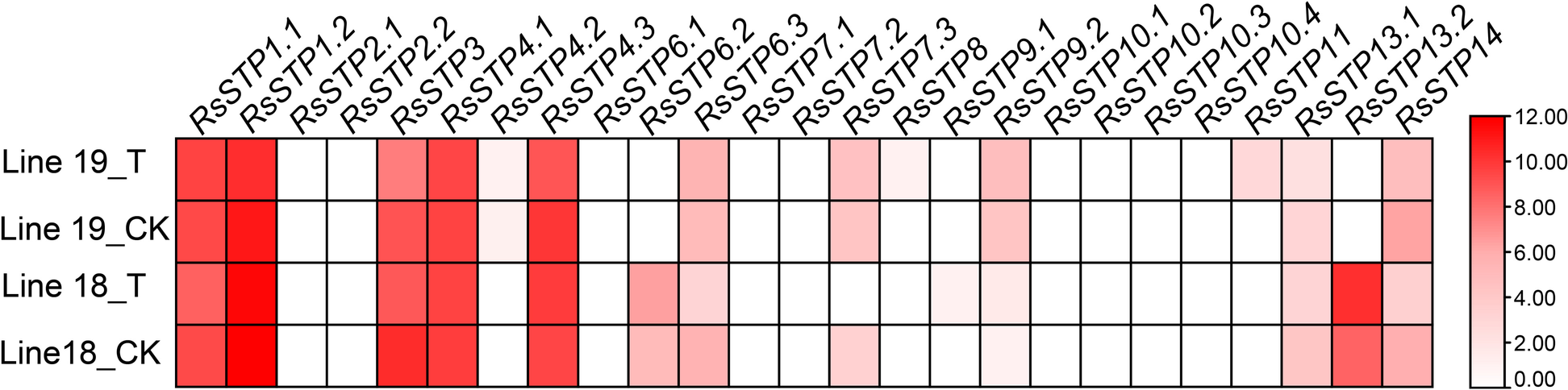 Fig. 7