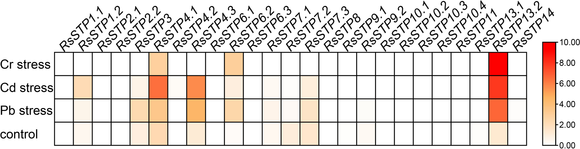 Fig. 8