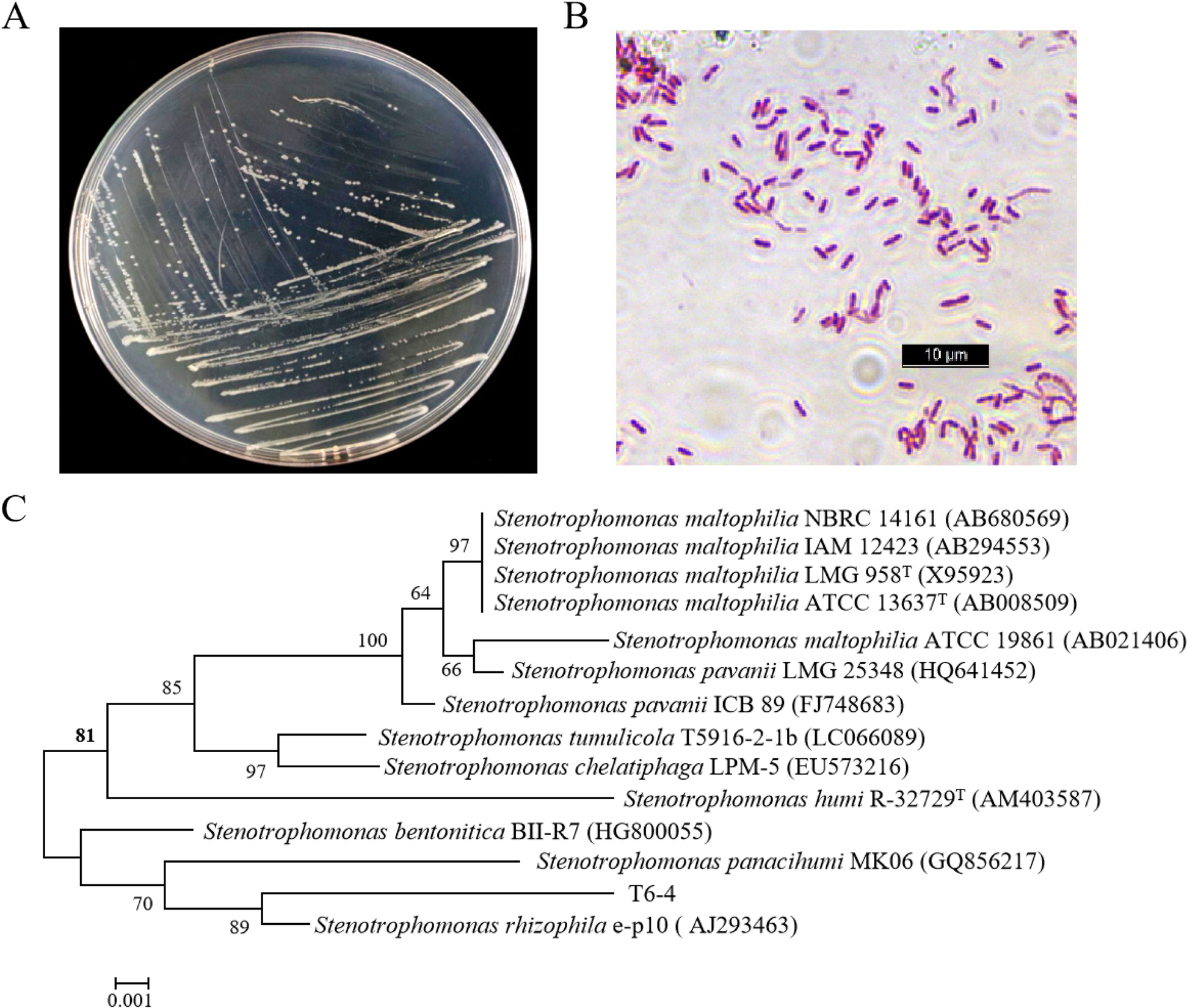 Fig. 3