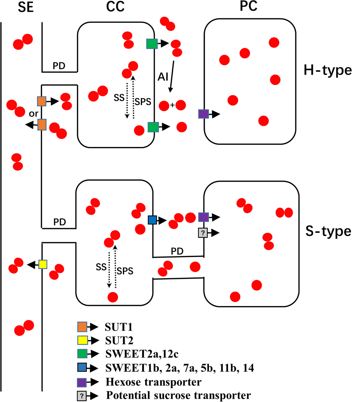 Fig. 8