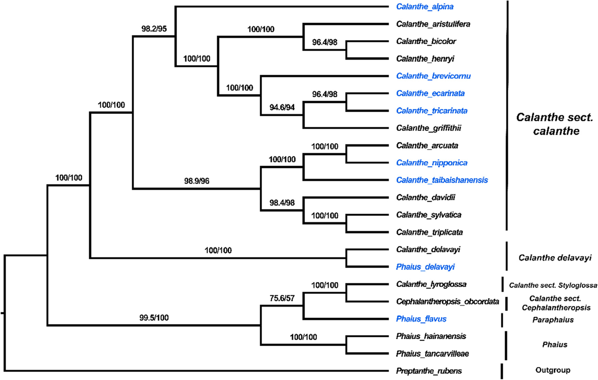 Fig. 12