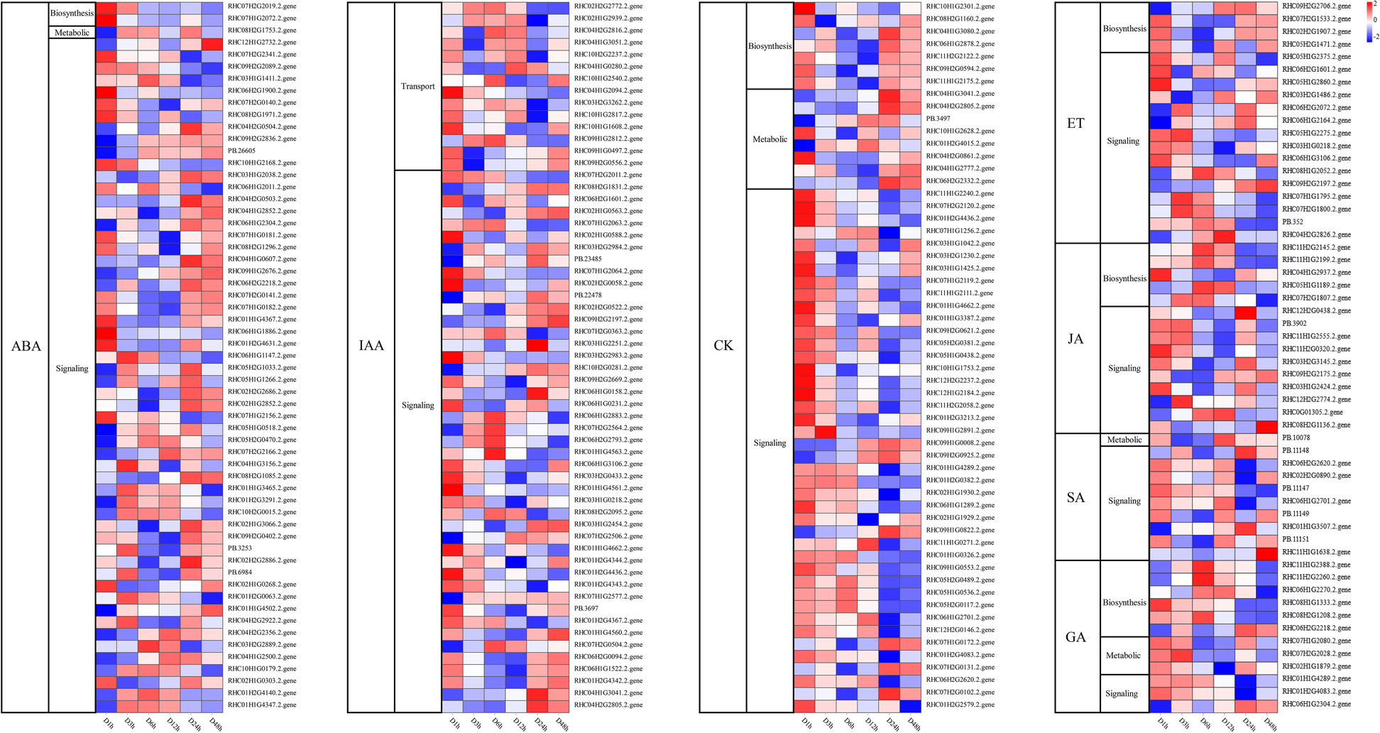 Fig. 4