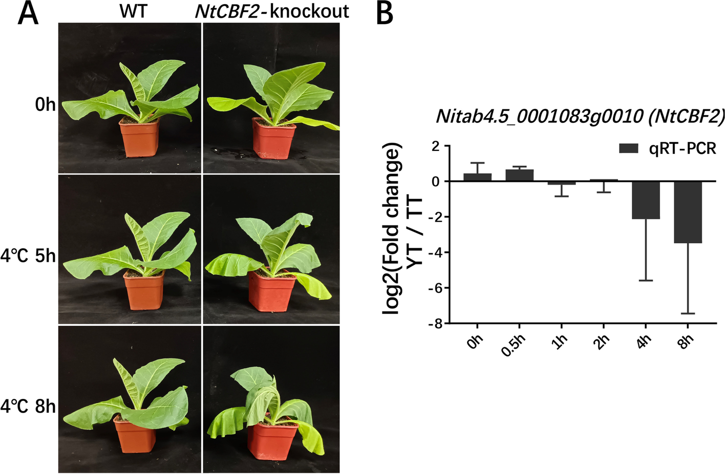 Fig. 8