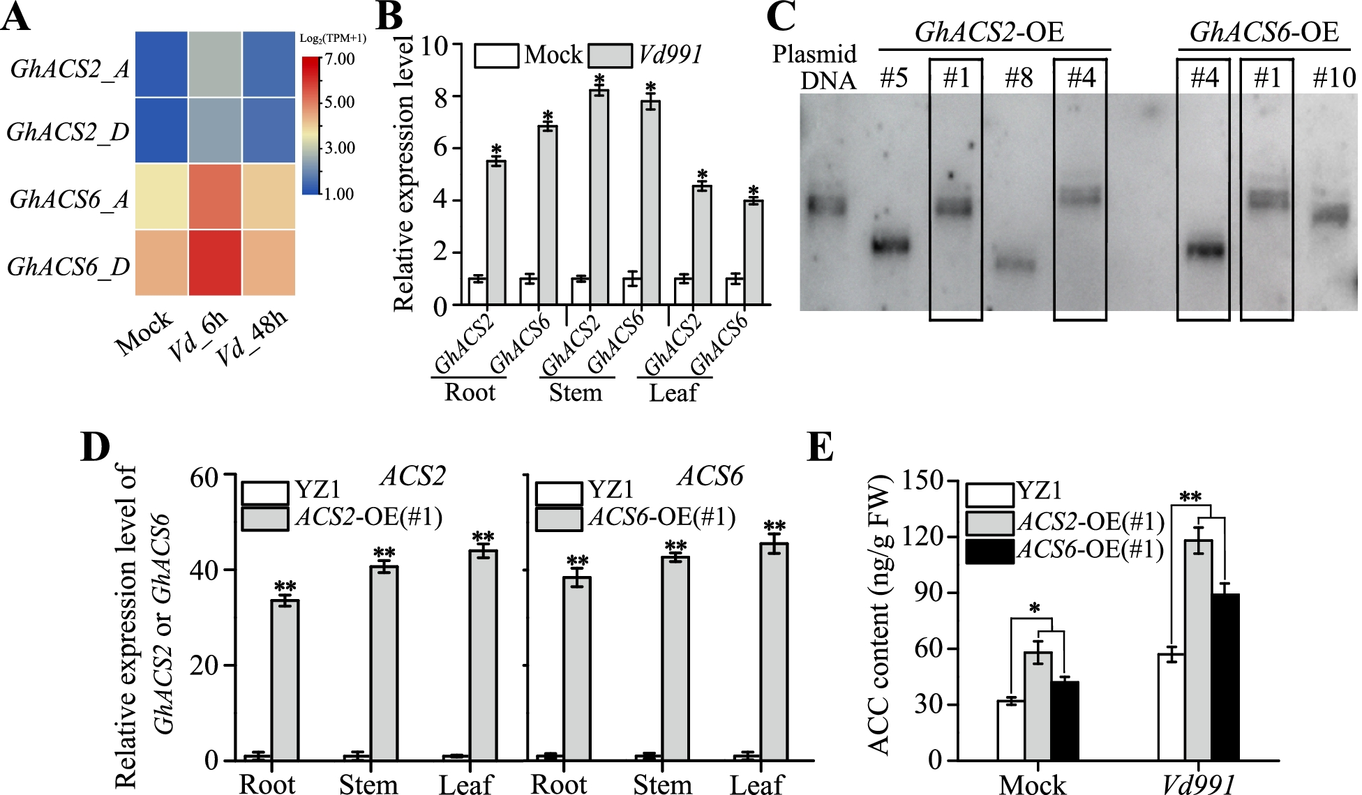 Fig. 2