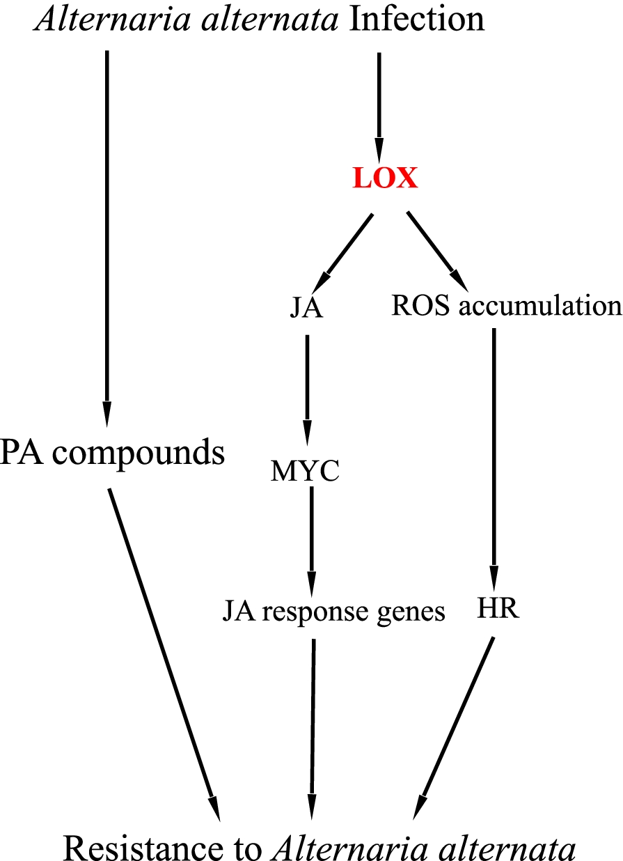 Fig. 8