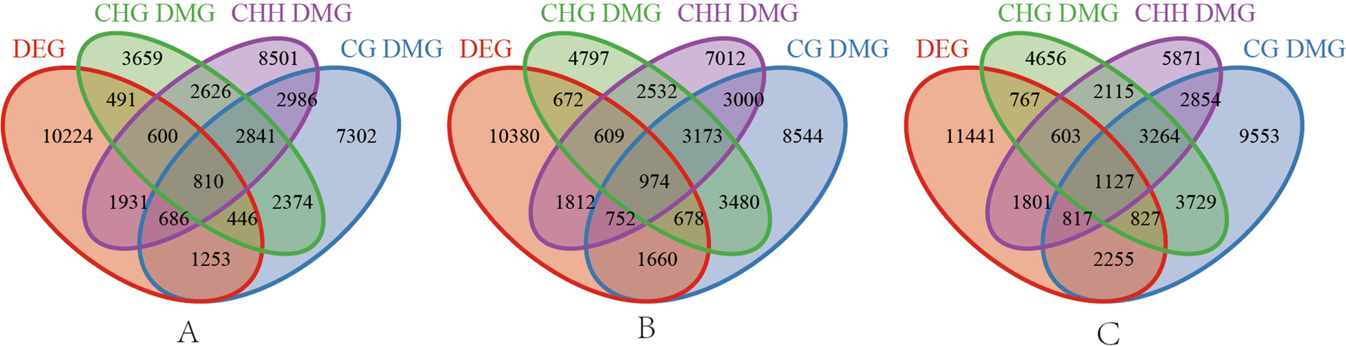 Fig. 8