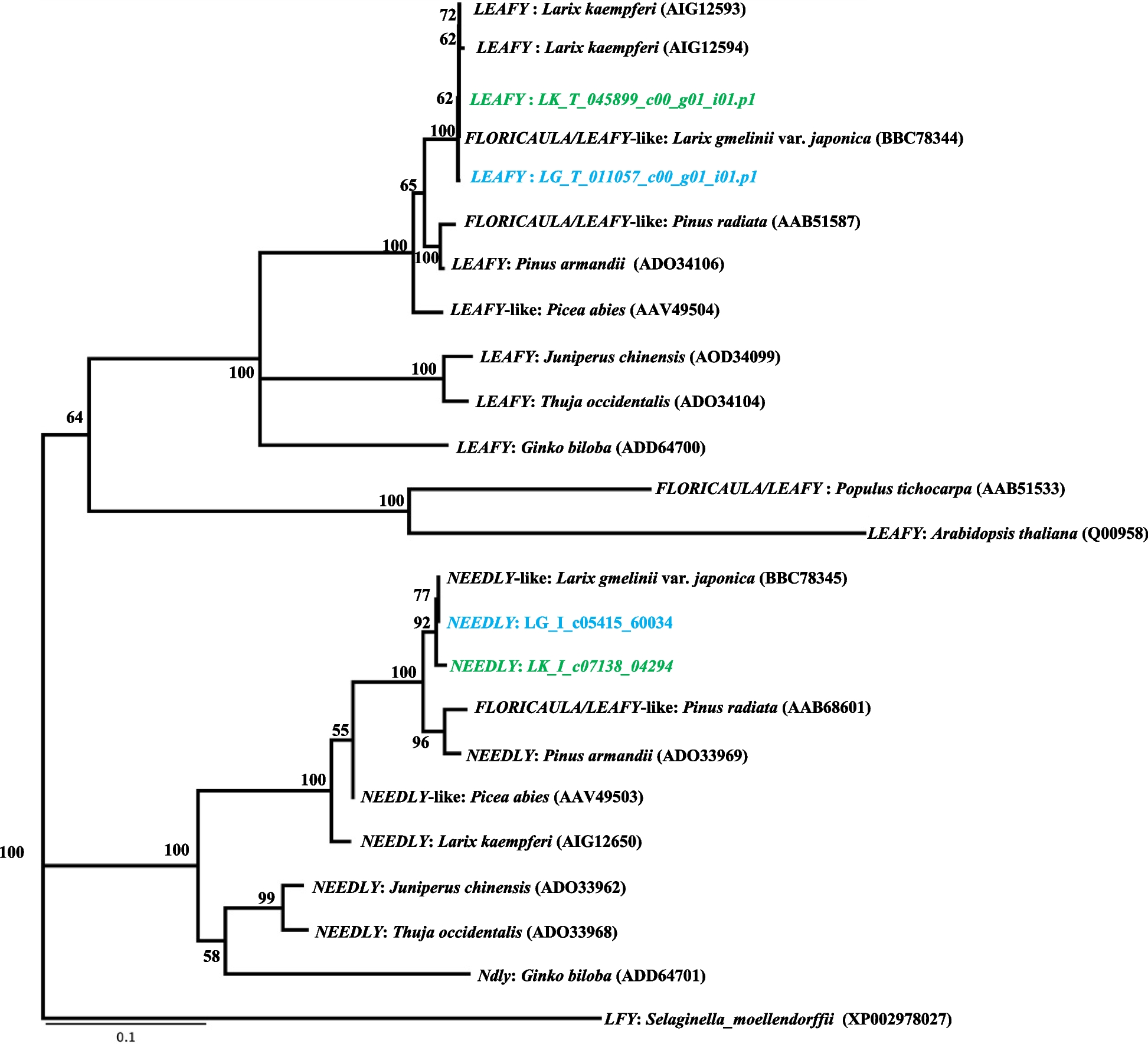 Fig. 3