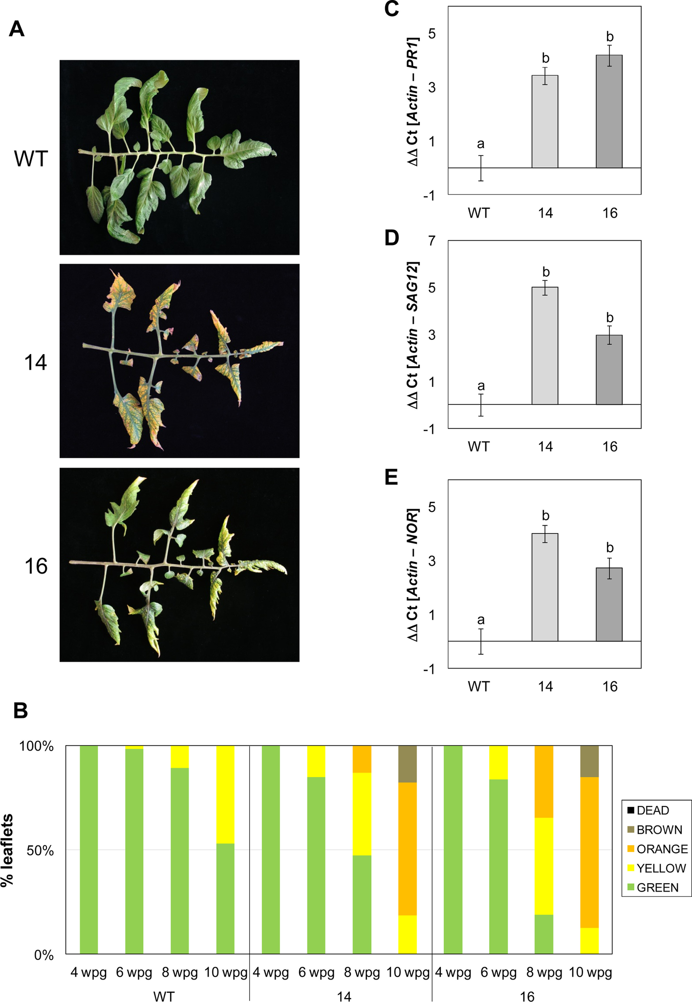 Fig. 9