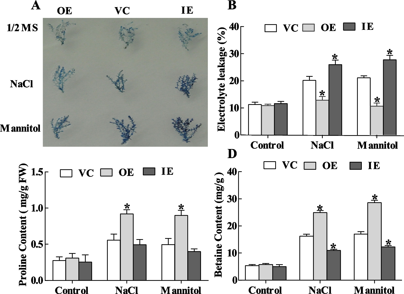 Fig. 7