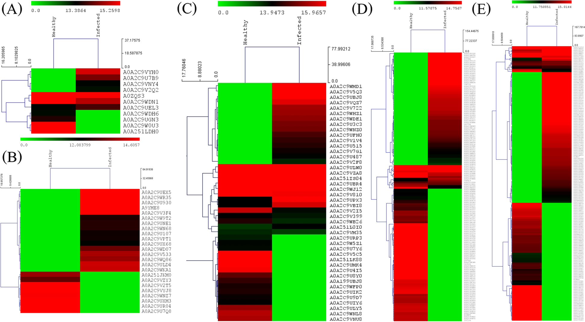 Fig. 3