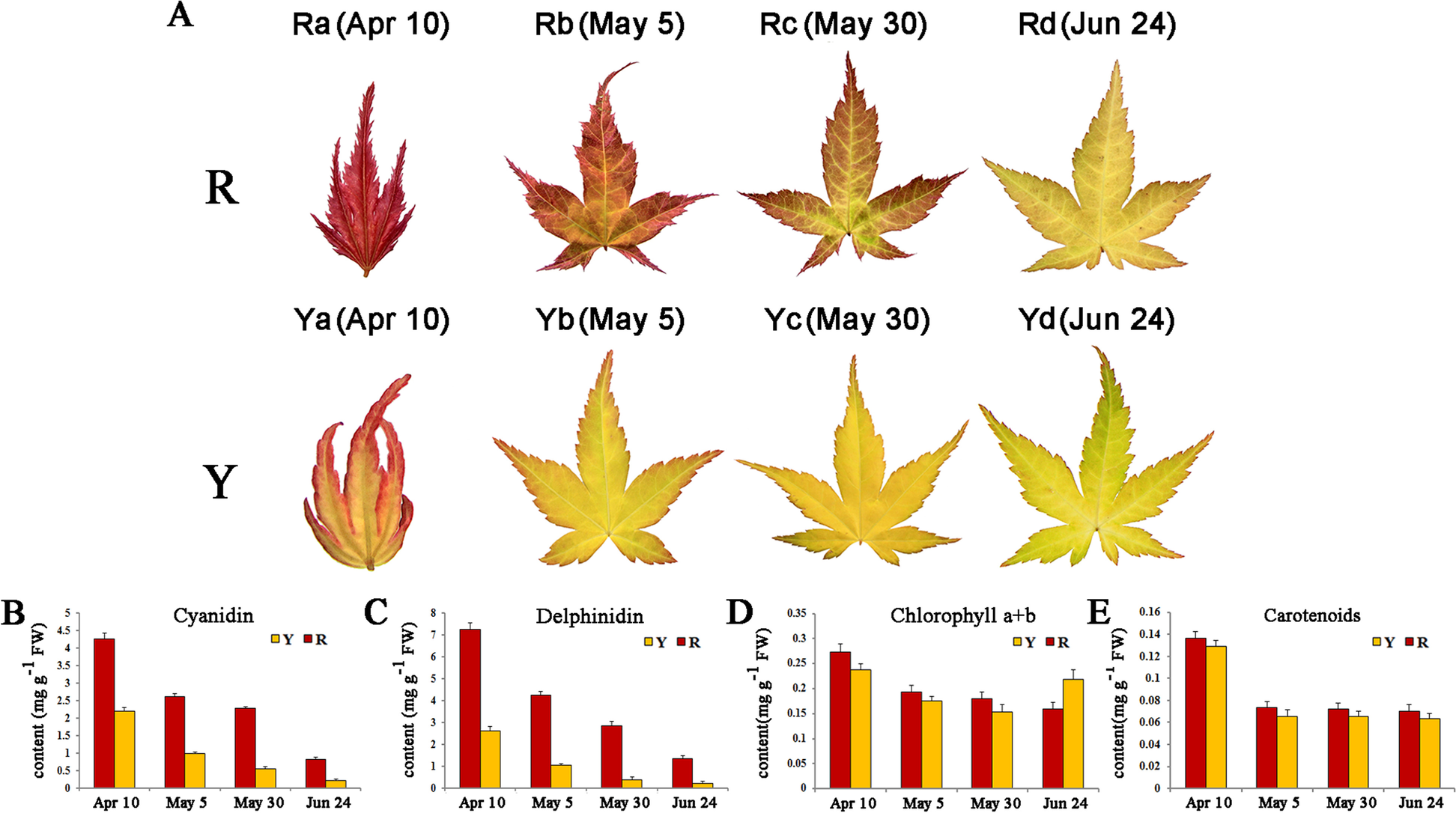 Fig. 1