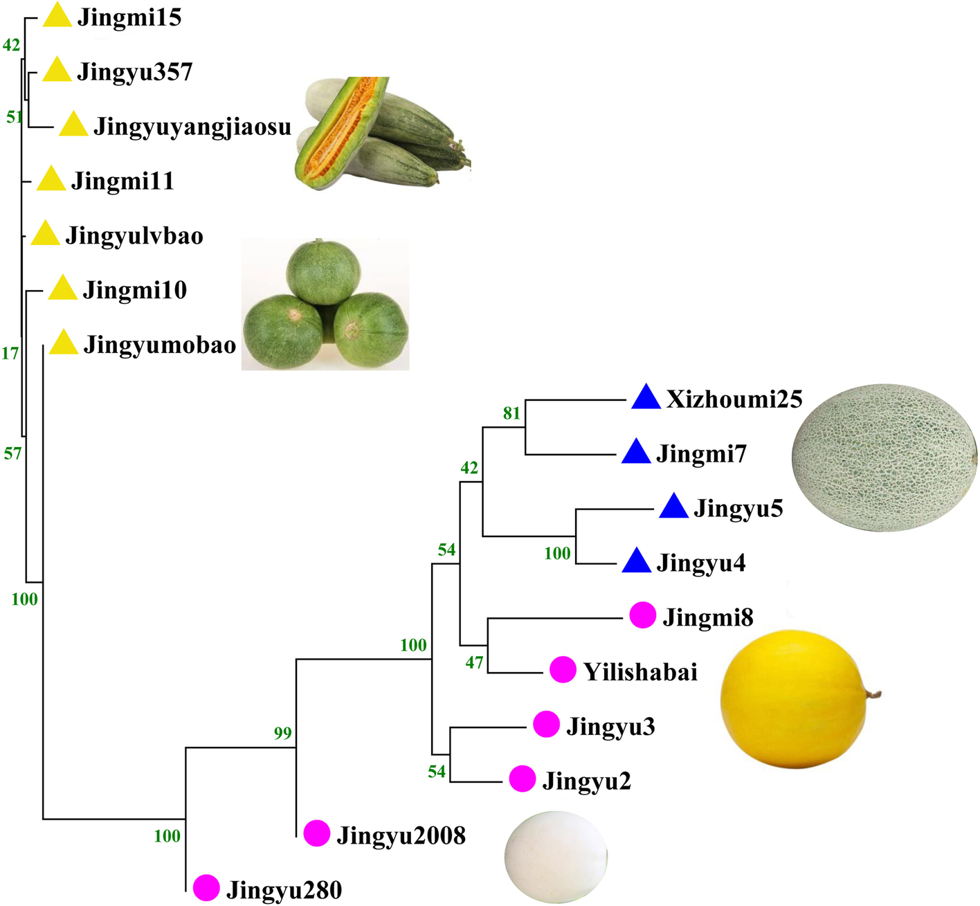 Fig. 4