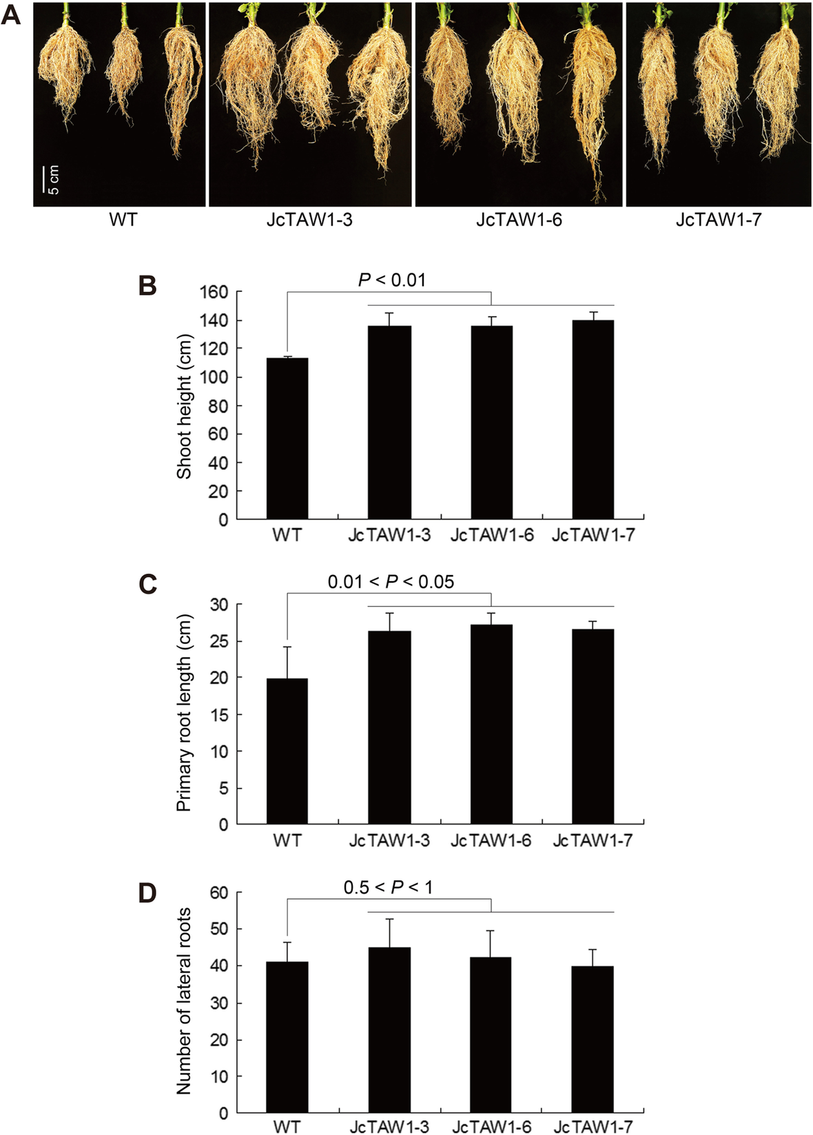 Fig. 4