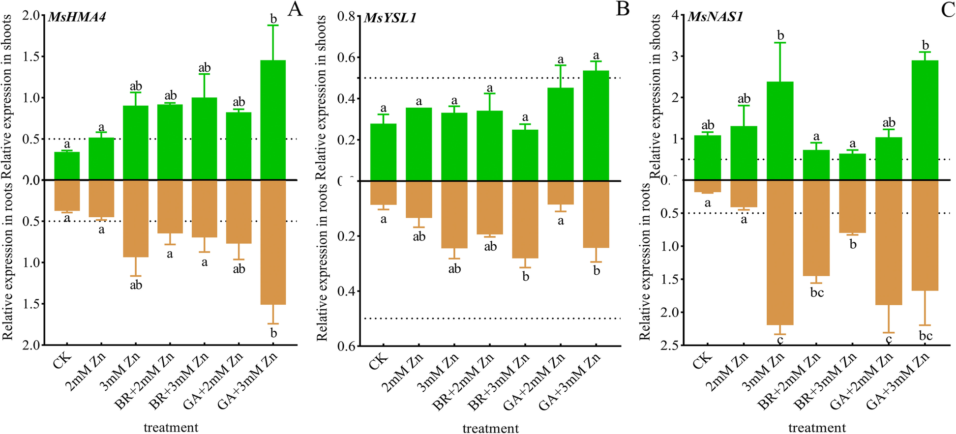 Fig. 7