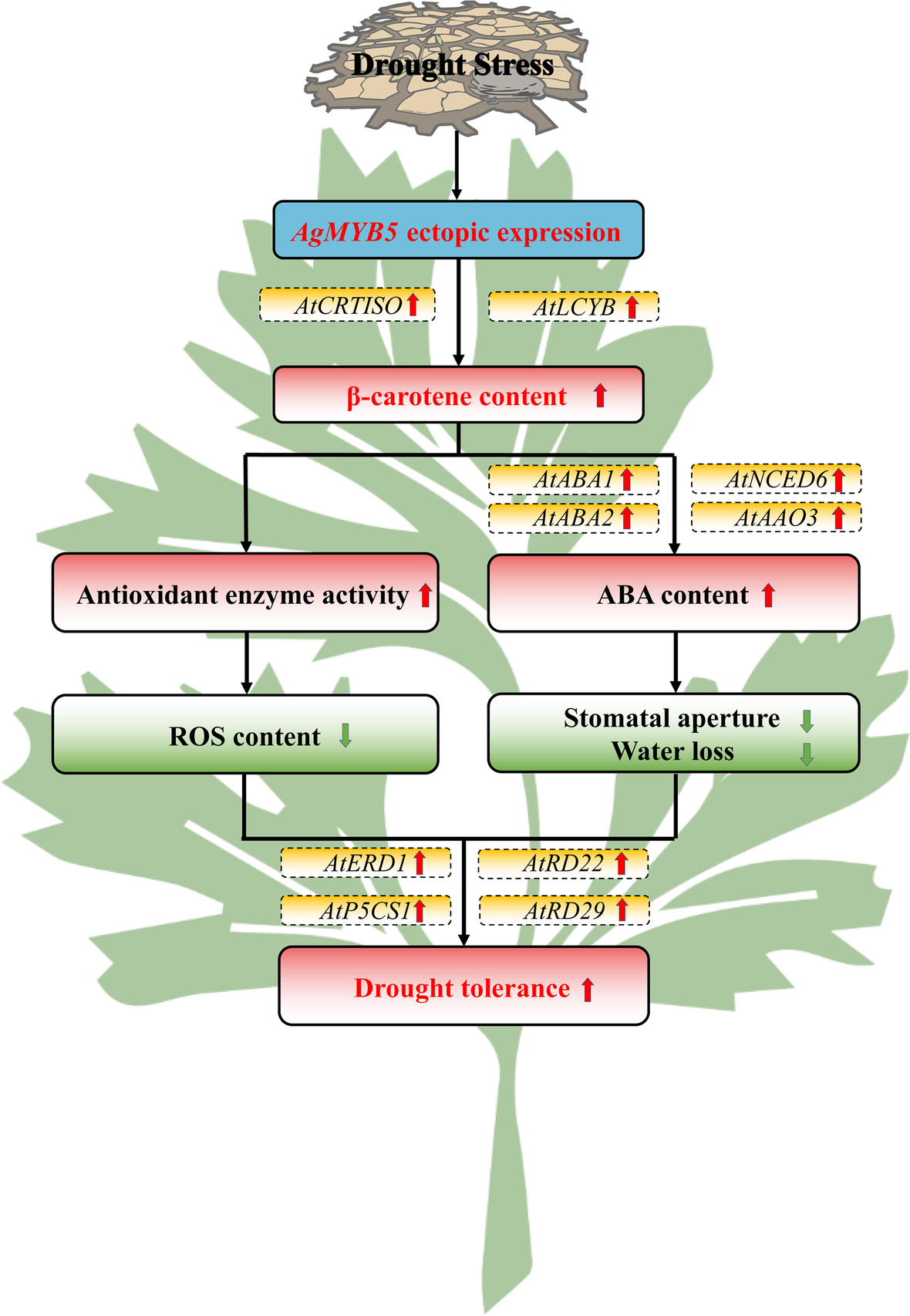 Fig. 10