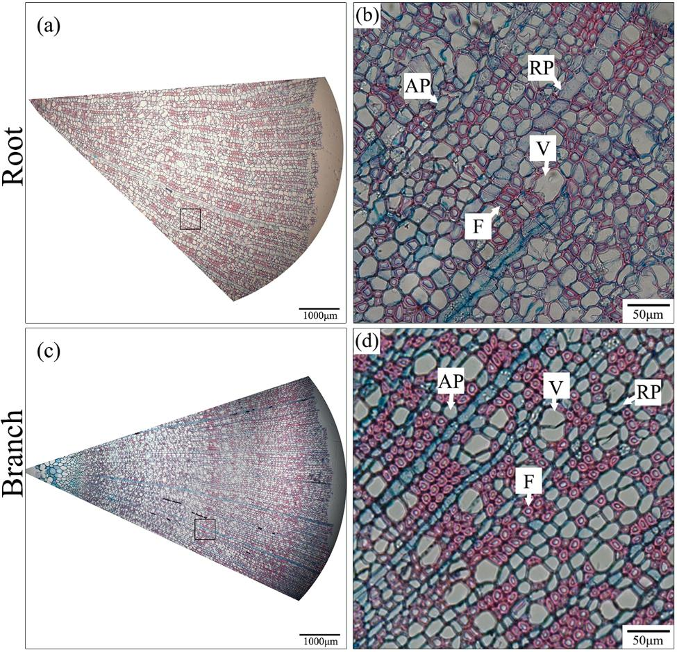 Fig. 5