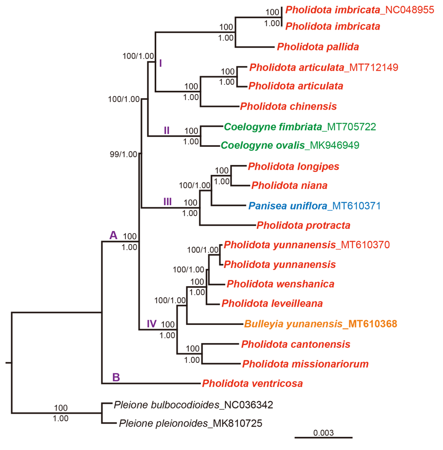 Fig. 7