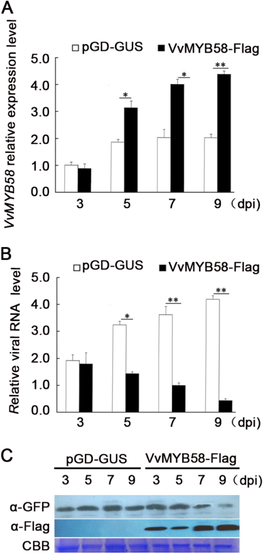 Fig. 6