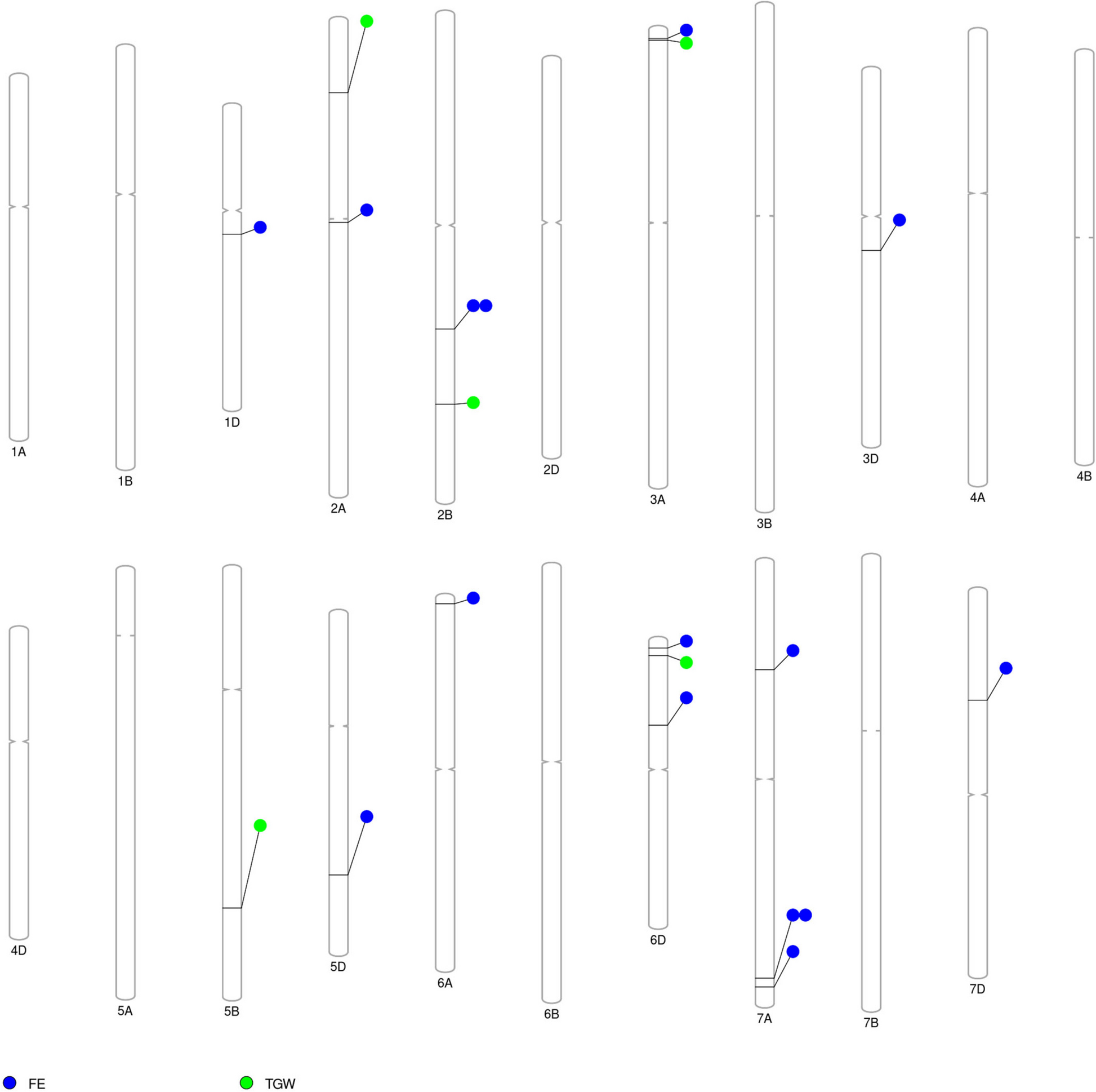 Fig. 6