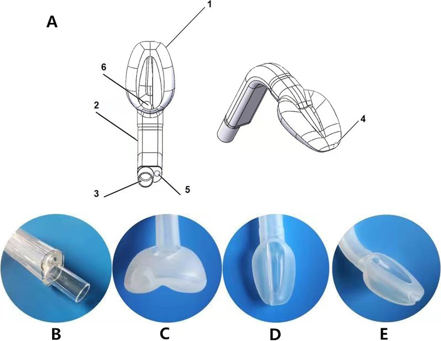 Fig. 1