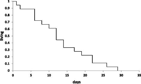 Fig. 2