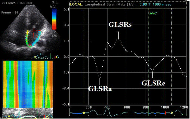 Fig. 2