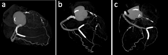 Fig. 5