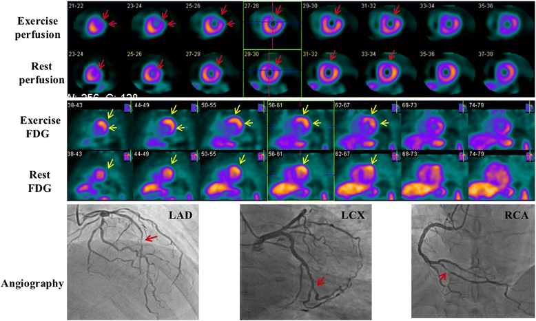 Fig. 6