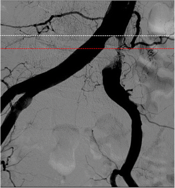 Fig. 9