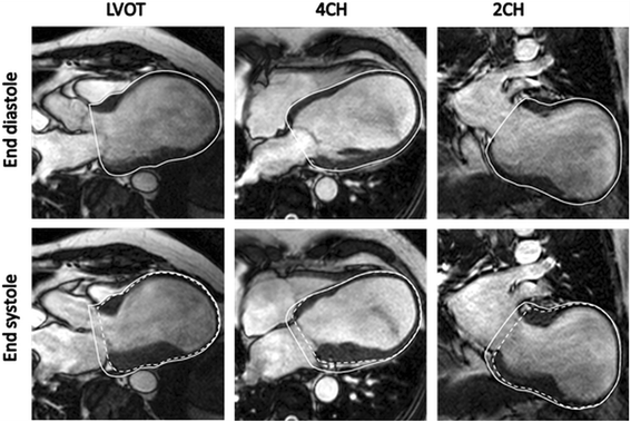 Fig. 7