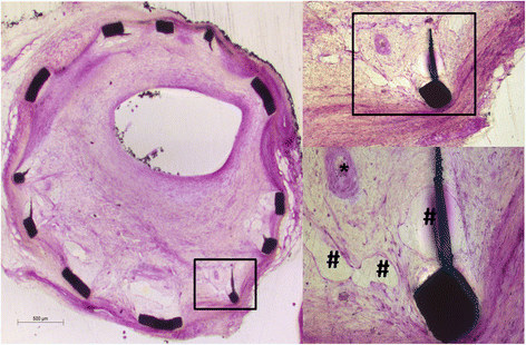 Fig. 8