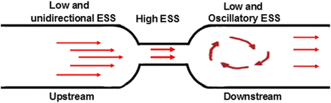 Fig. 9