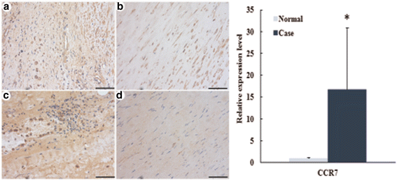 Fig. 9