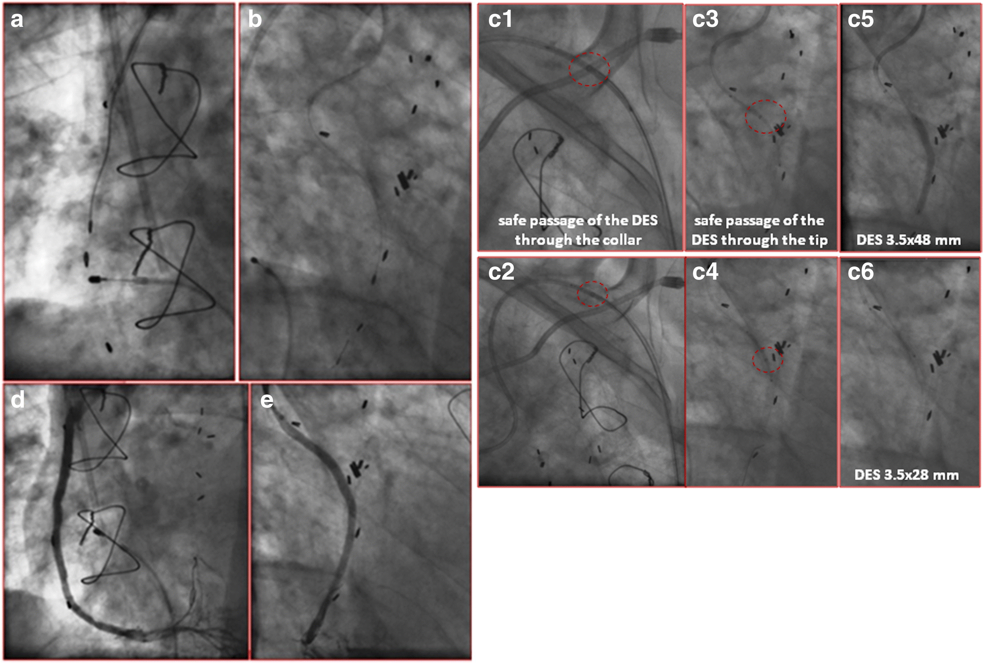 Fig. 2