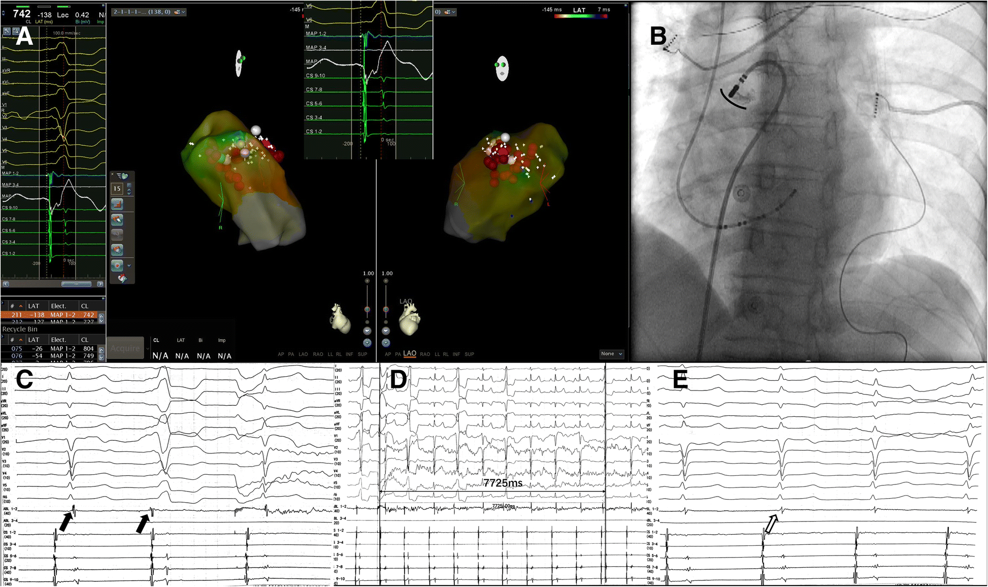 Fig. 2