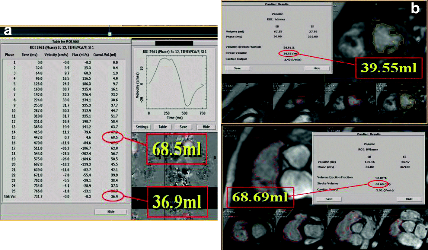 Fig. 5