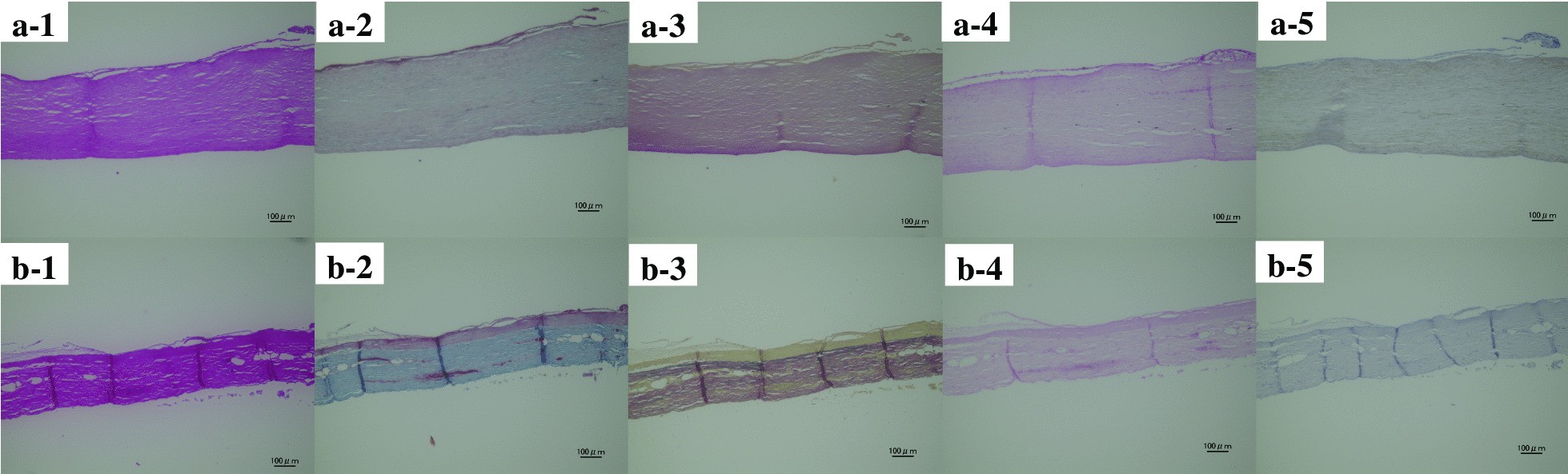 Fig. 5