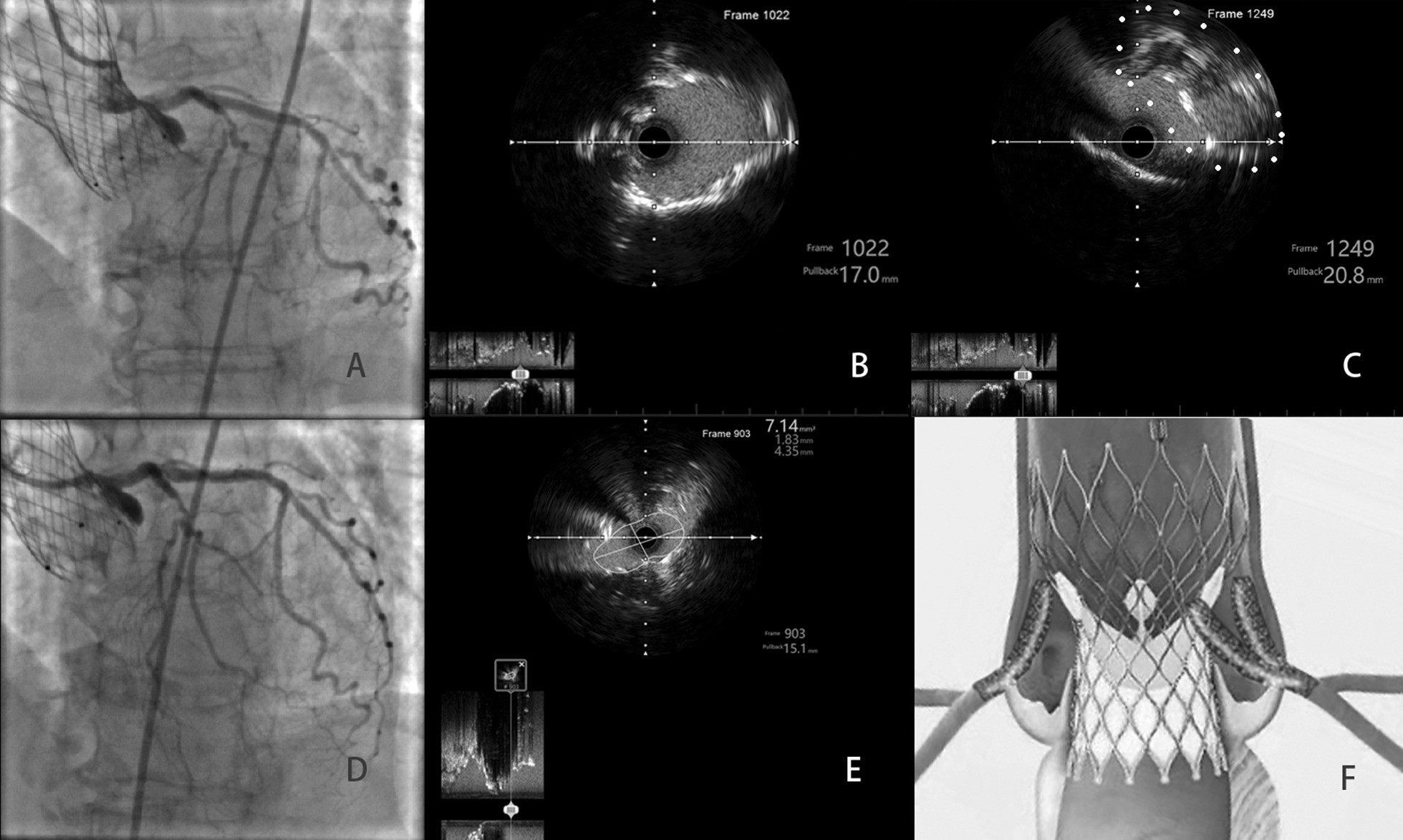 Fig. 3