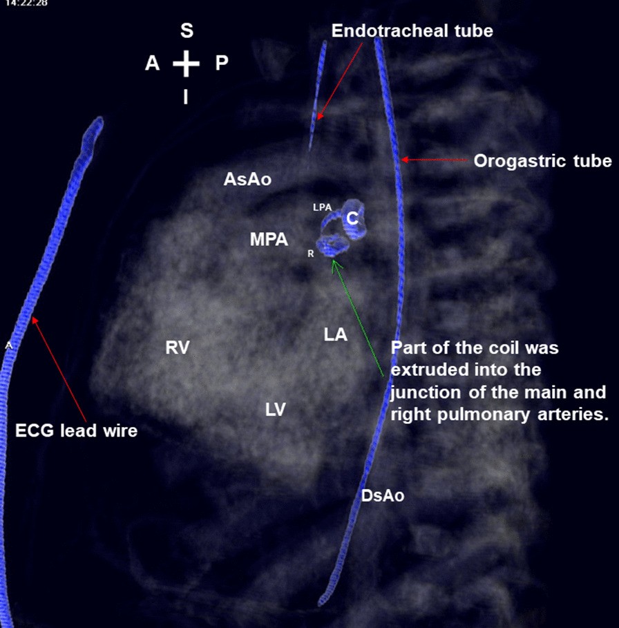 Fig. 7