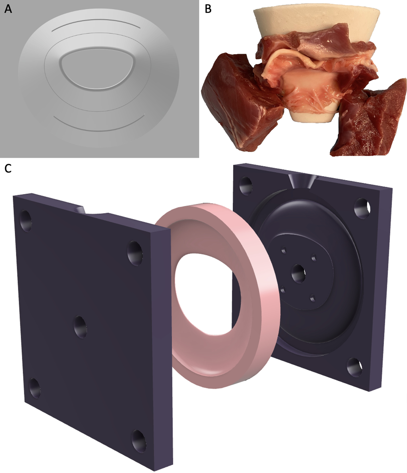 Fig. 1