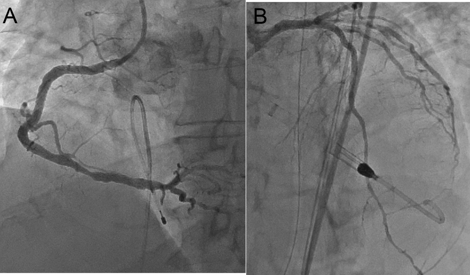 Fig. 8