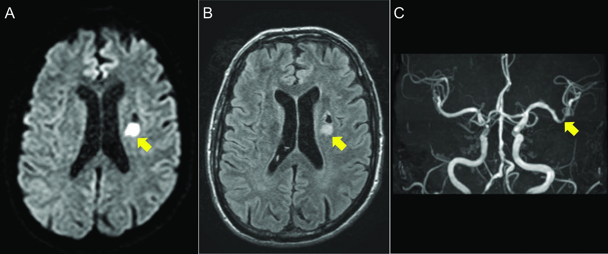 Fig. 9